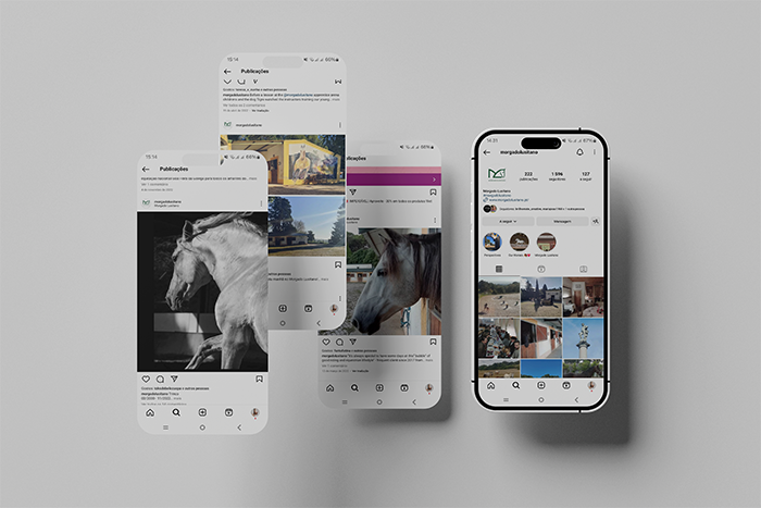 iPone 14 Screen Mockup